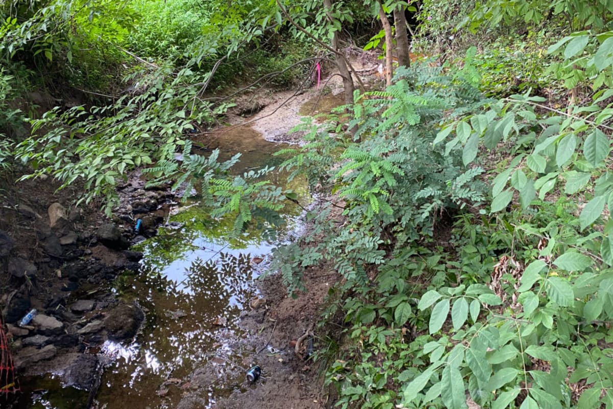 North Carolina Sues Company Over Creek Pollution Clean-Up