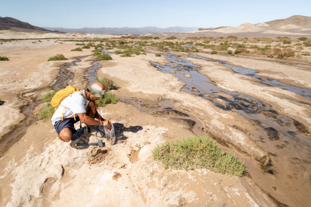 Earth's Underground Fungi Could Reach Beyond Solar System