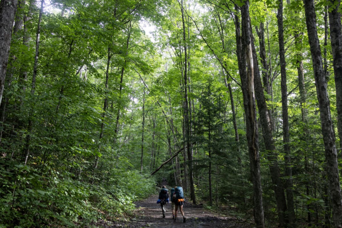 Bill Moomaw, Tufts emeritus professor and Woodwell Climate Research Center scientist studying forest recovery
