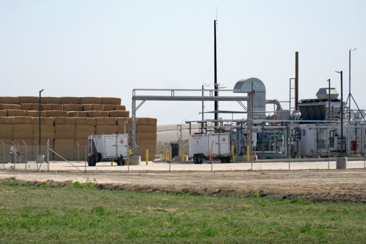 California Dairy Turns Cow Waste Into Clean Hydrogen Fuel