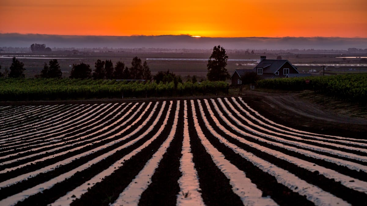 California Farmers Test Smarter Plastic Alternatives - Image 2