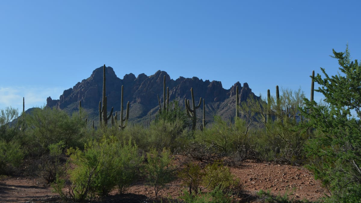 Latinos Kick Off Conservation Week at Arizona Monument - Image 3