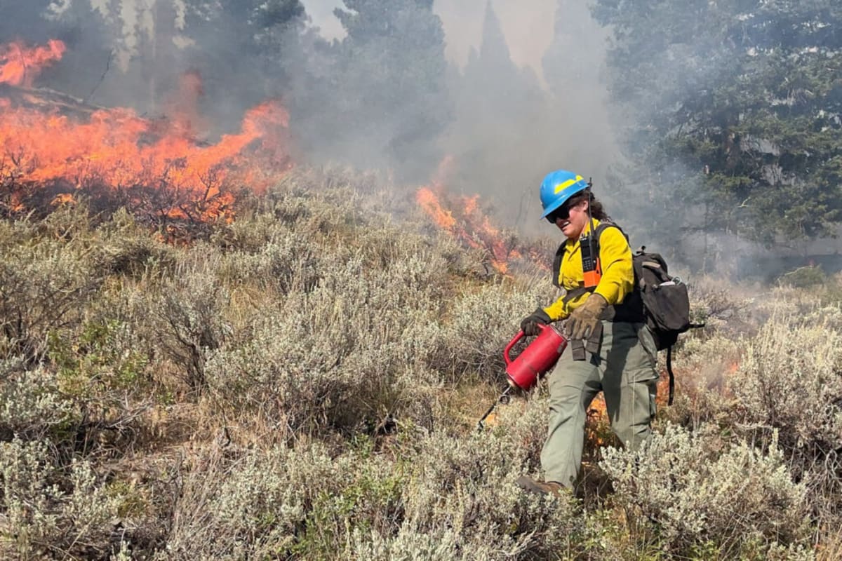 Smoke rises from controlled burns as Montana firefighters create protective fire lines