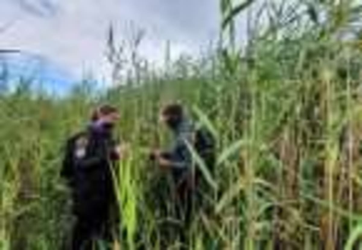 Real Paddington Bears Get £20K Lifeline in Bolivia - Image 4