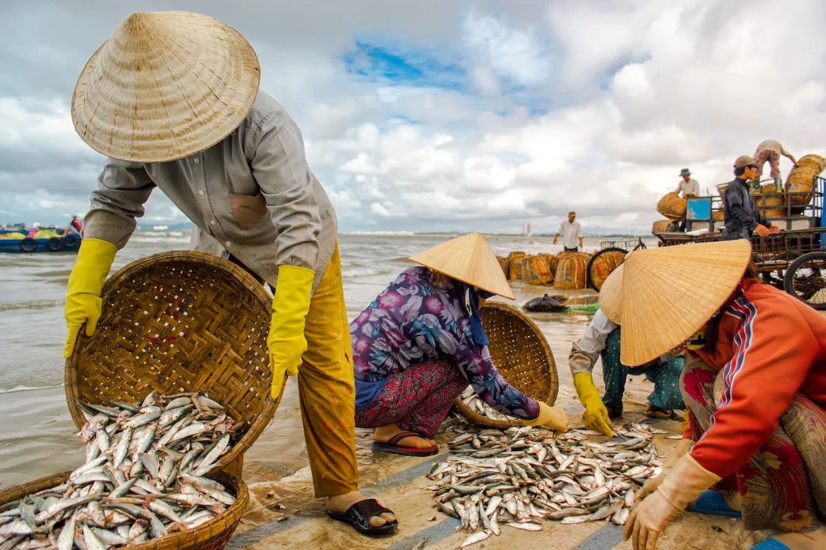 Vietnam Bets on Oceans for Sustainable Growth