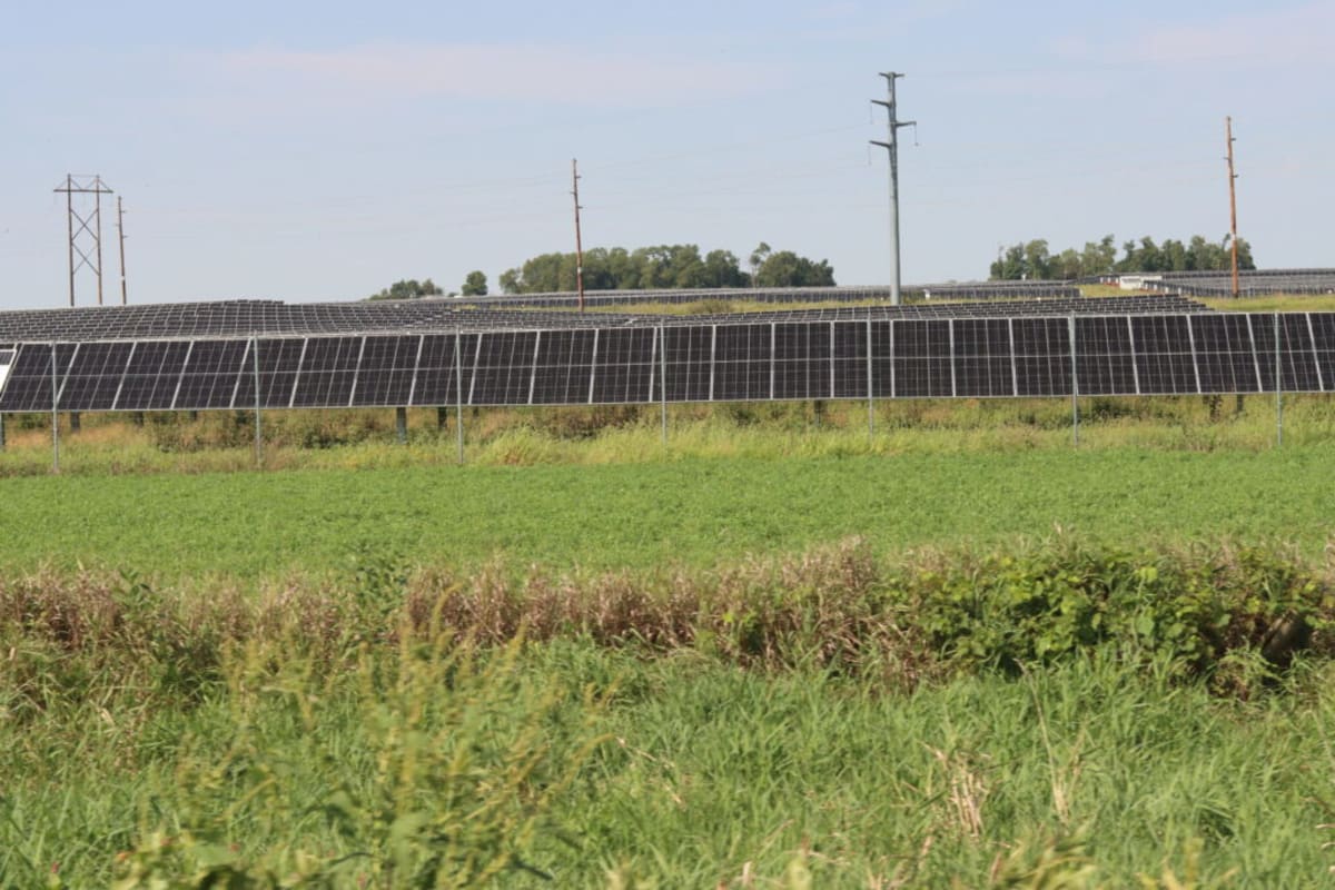 Iowa Scientists Chart Path to Cleaner Energy Future - Image 2