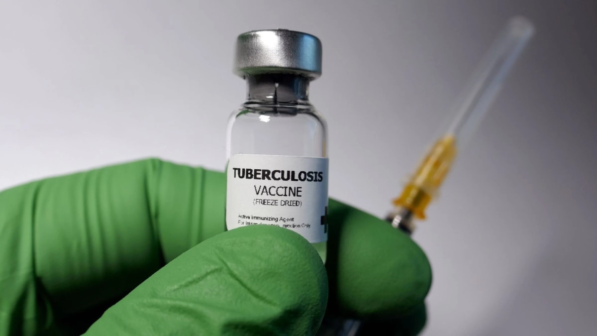 Researchers at University of Cape Town laboratory working on groundbreaking tuberculosis vaccine development