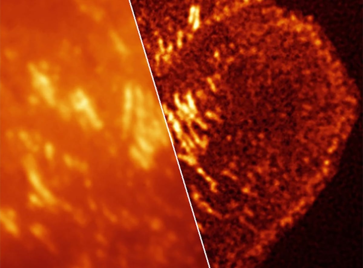 Scientists See Living Cancer Cells Like Never Before