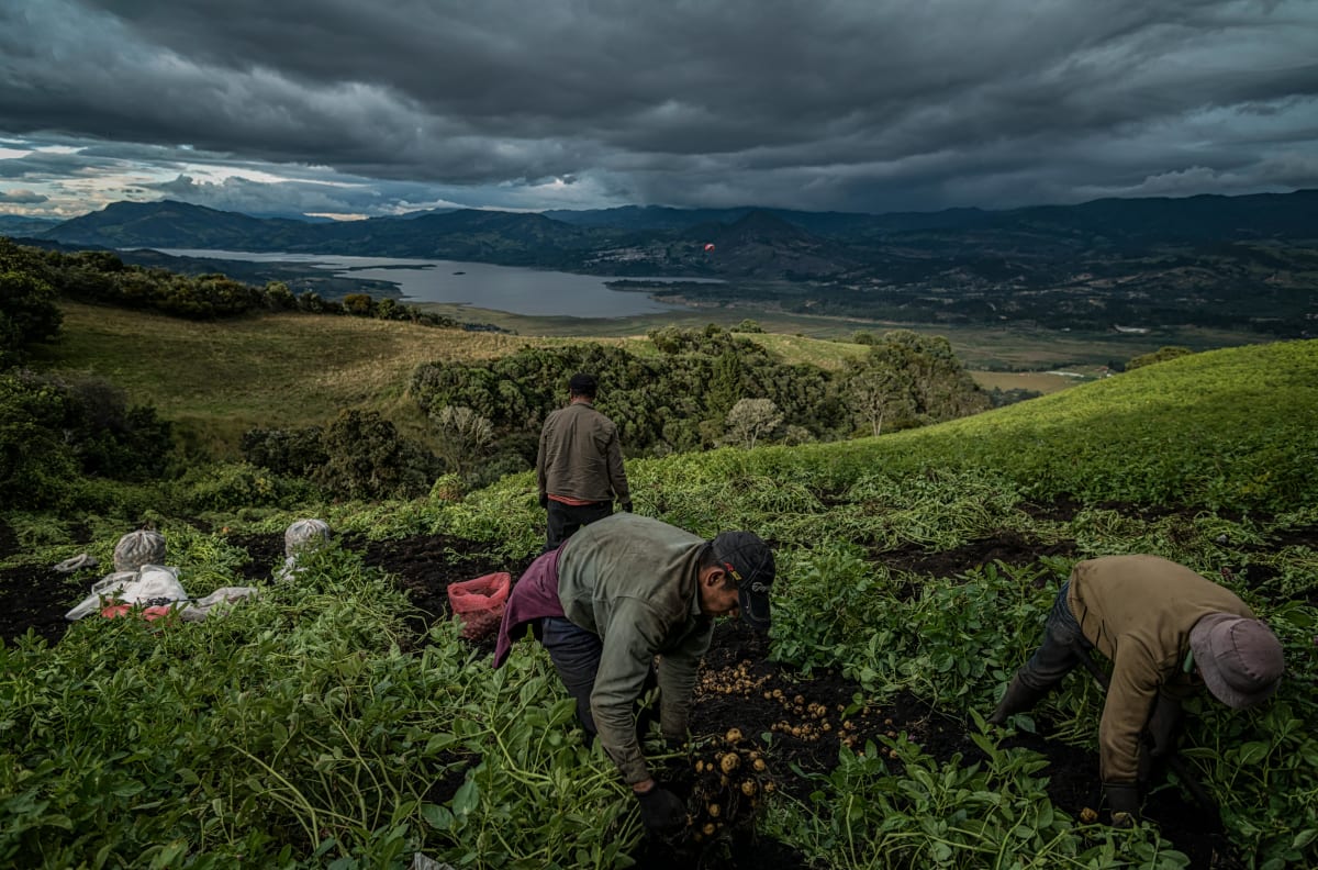 Ethiopia Completes 5-Year Plan to Protect Wildlife and Farms - Image 3