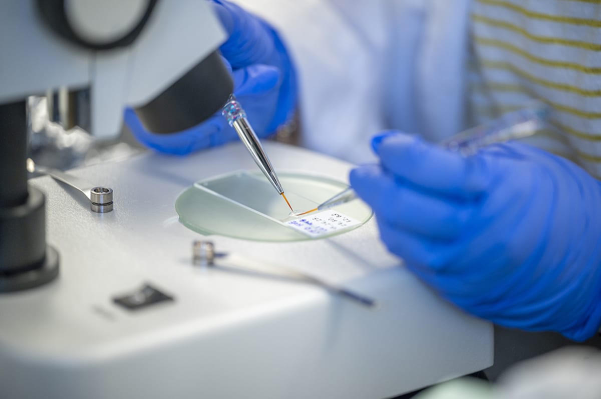 Augusta University Ranks Top 5 in Georgia for Medical Cures - Image 3