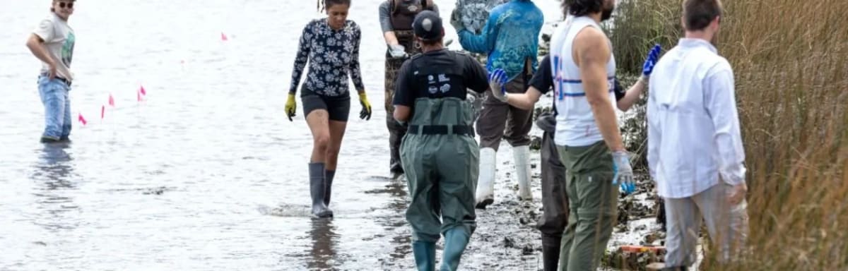 Jacksonville Volunteers Plant 84 Oyster Reefs to Clean River - Image 2
