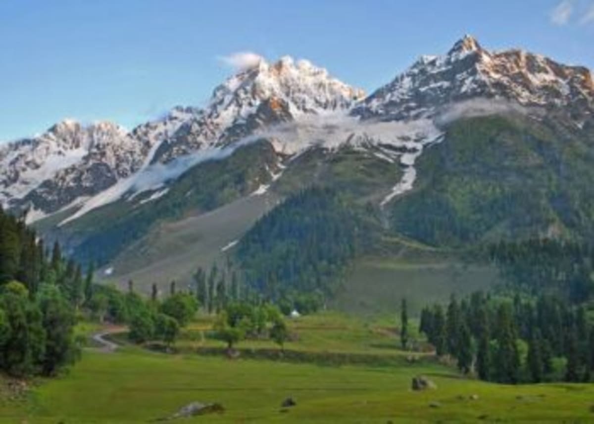 Kashmir Summit Tackles Himalayan Climate with Nature Solutions - Image 4