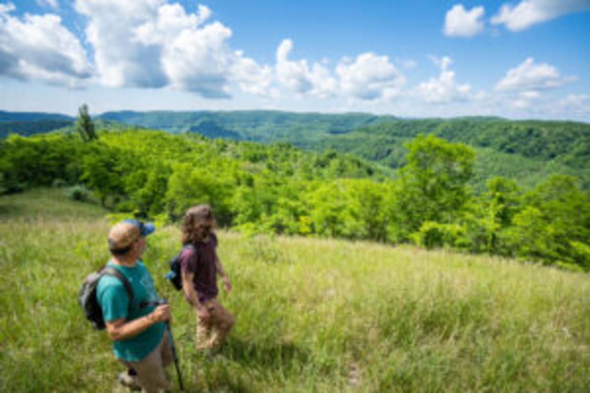 Kentucky's Black Bears Back from the Brink with 1,500 Strong - Image 4