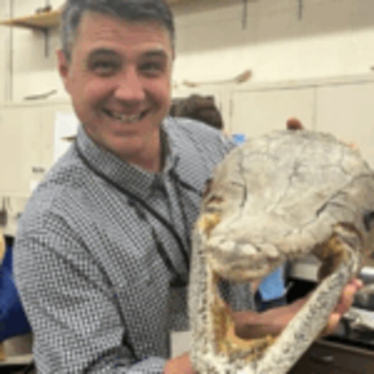 Kentucky's Black Bears Back from the Brink with 1,500 Strong - Image 2