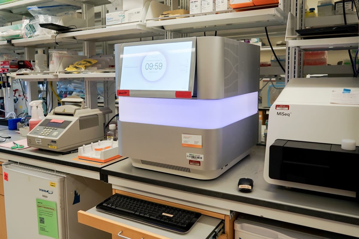 Scientists Sequence 1,000 Measles Genomes in US First - Image 4