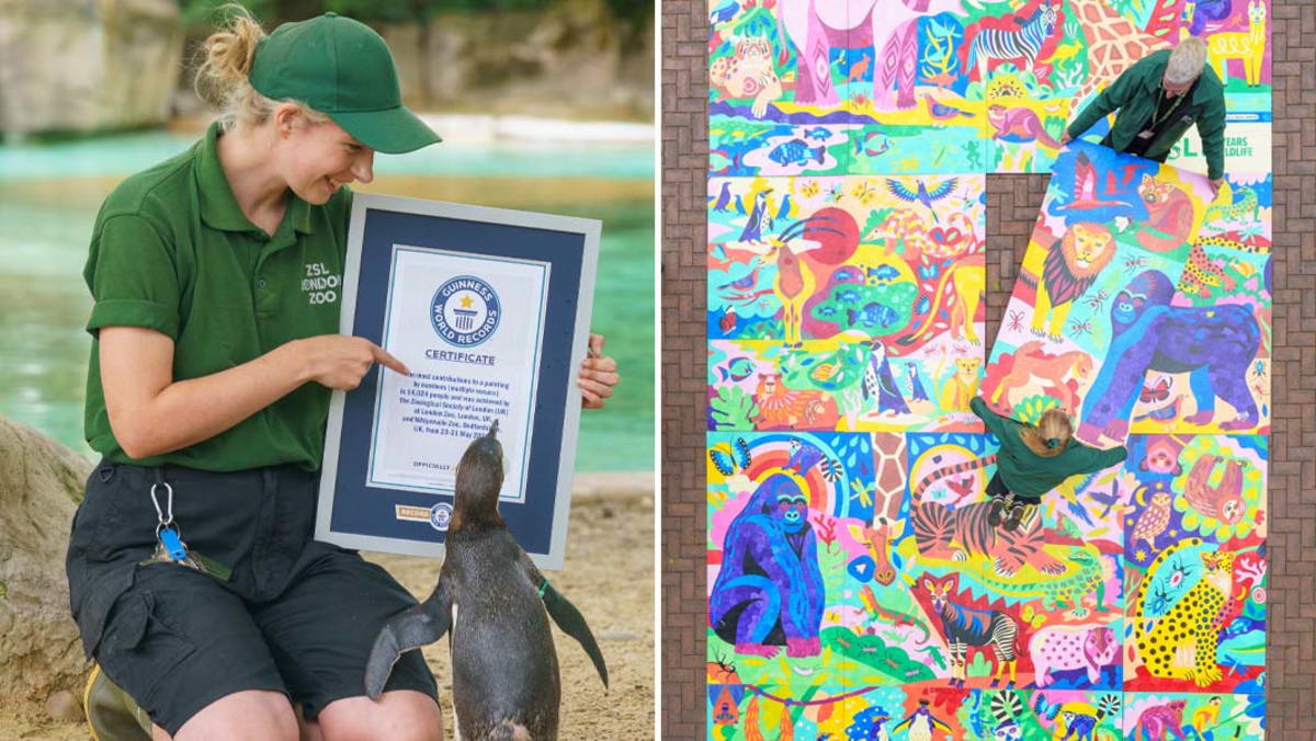 Colorful paint-by-numbers artwork showing wildlife including parrots, butterflies, and gorilla at London Zoo