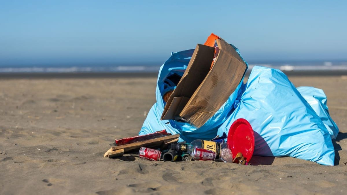 Volunteers Remove 30K Pounds of Beach Trash in One Day