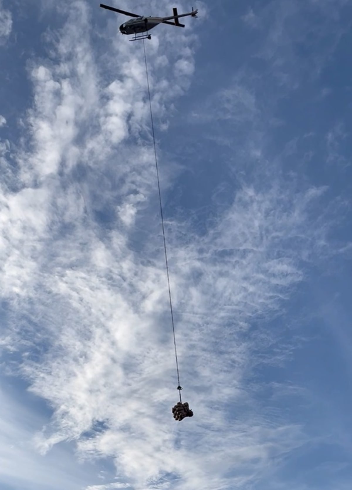 430,000 Trees Replanted After Oregon Wildfires