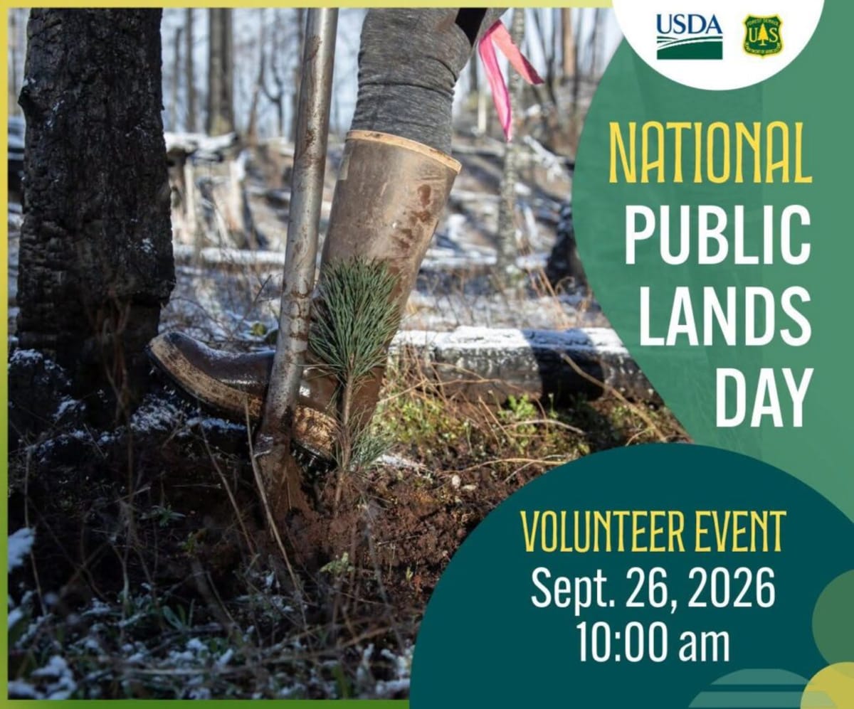 Volunteers Planting 100s of Pines at Diamond Lake Sept 26 - Image 2