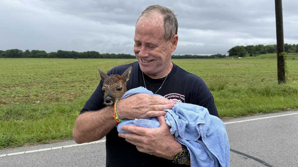 Firefighter in water rescue gear holding small baby deer rescued from floodwaters