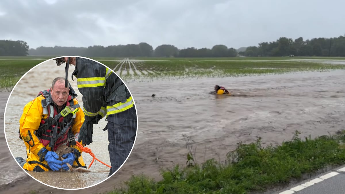 Indiana Firefighter Rescues Fawn from Rushing Floodwater