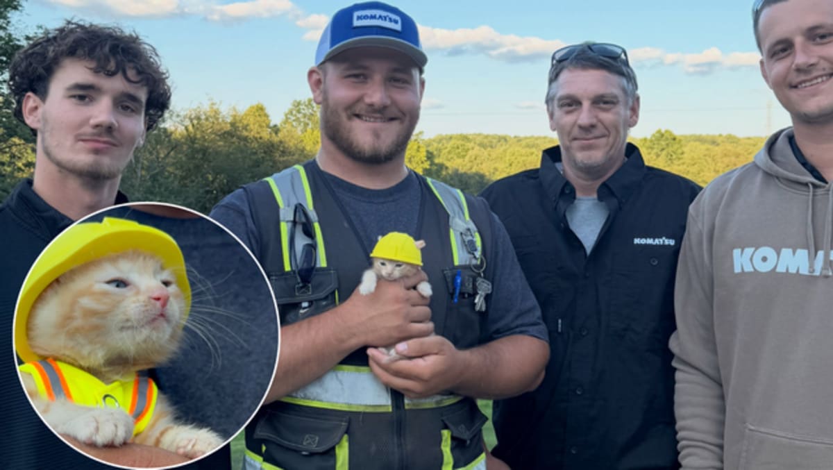 Ohio Crew Rescues Kitten from Excavator, Gains Shop Cat - Image 2