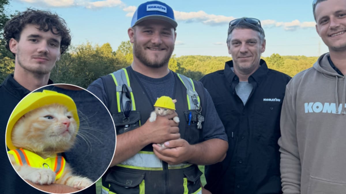 Ohio Crew Rescues Kitten from Excavator, Gains Shop Cat - Image 4