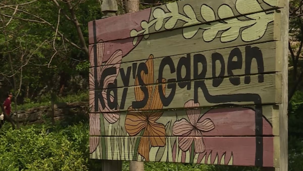 Cincinnati Volunteers Transform Abandoned Hillside Garden - Image 2