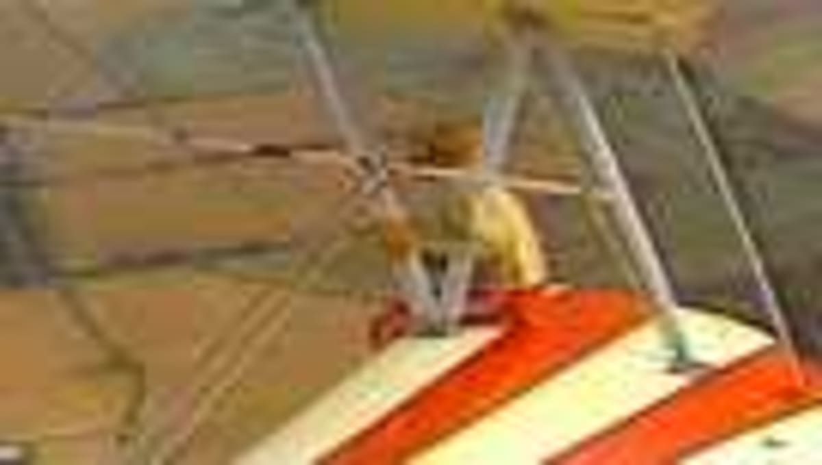 97-Year-Old Wing Walker Breaks Own World Record Again - Image 4