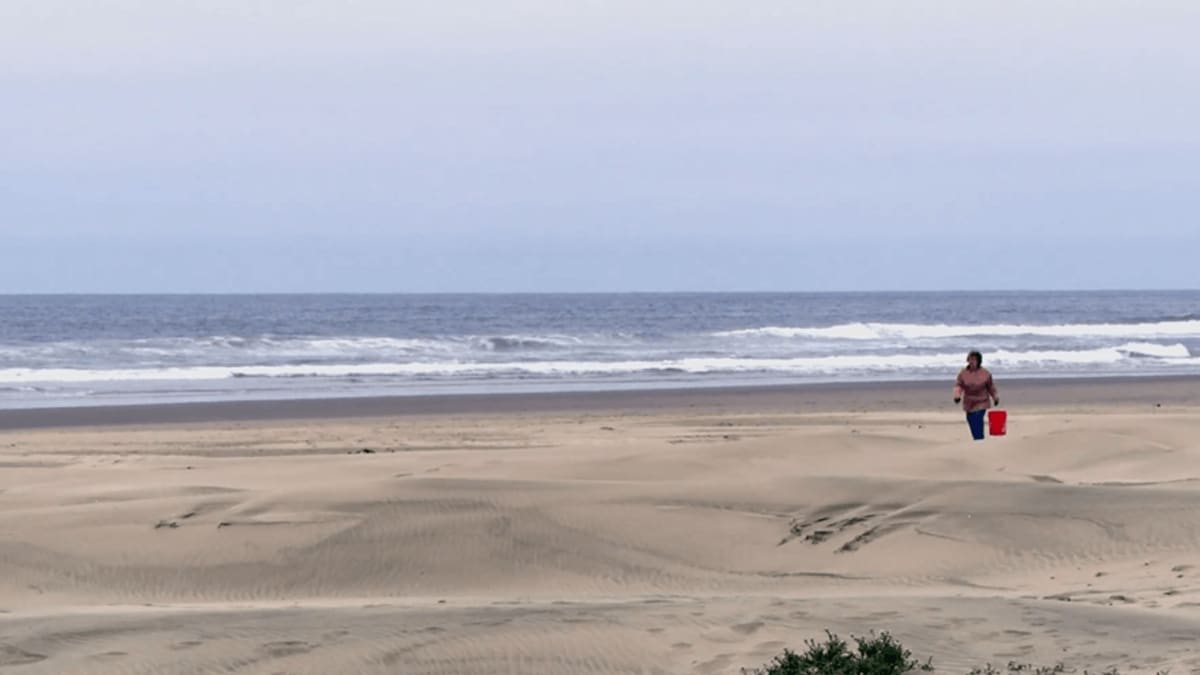 Volunteers collecting litter and microplastics during beach cleanup event in Florence, Oregon
