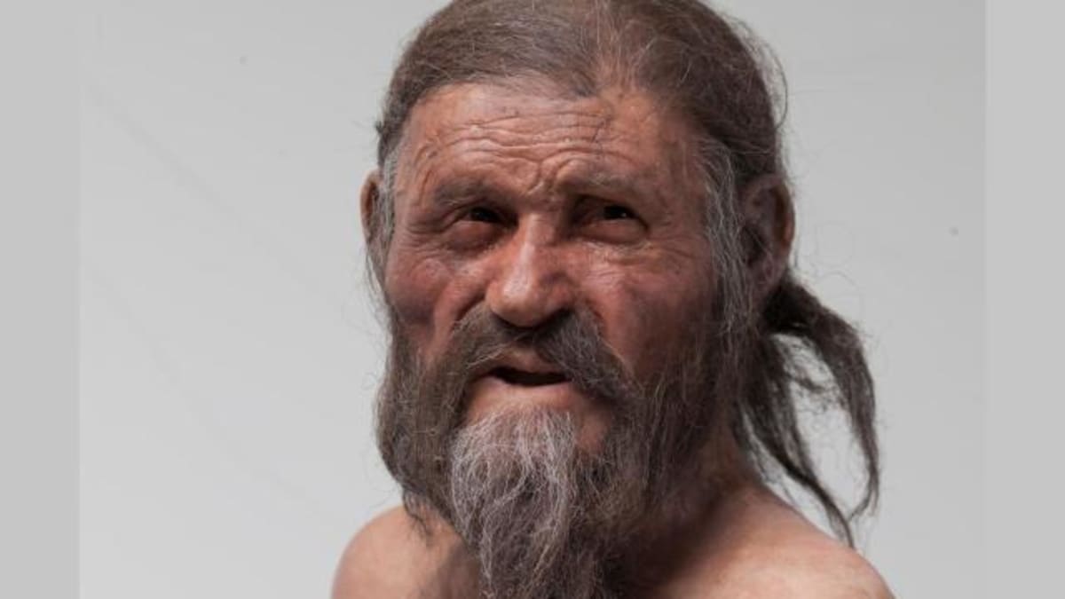 Scientists Bake Sourdough From 5,300-Year-Old Mummy Yeast - Image 3