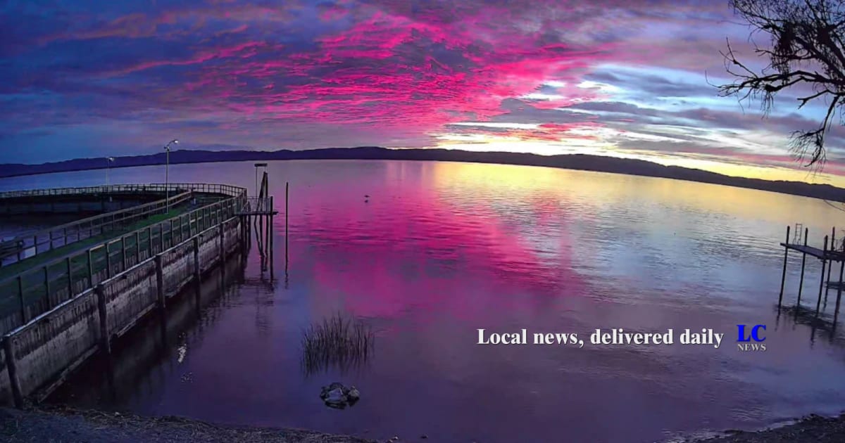 Osprey with outstretched wings flying over Clear Lake in Northern California