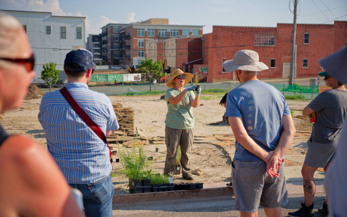 Former Parking Lot Becomes Prairie in Downtown Lawrence - Image 4