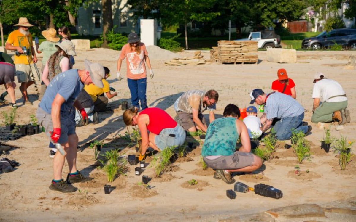 Former Parking Lot Becomes Prairie in Downtown Lawrence - Image 2