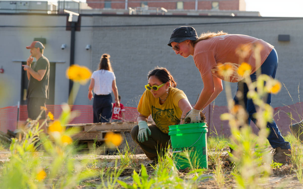 Former Parking Lot Becomes Prairie in Downtown Lawrence - Image 5
