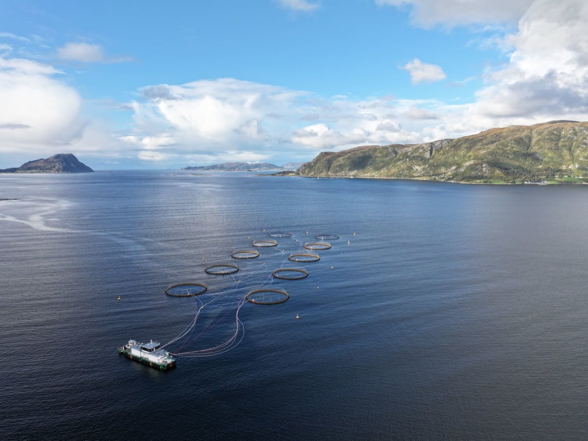 Norway Tackles Ocean Cleanup With Lost Gear Recovery - Image 4