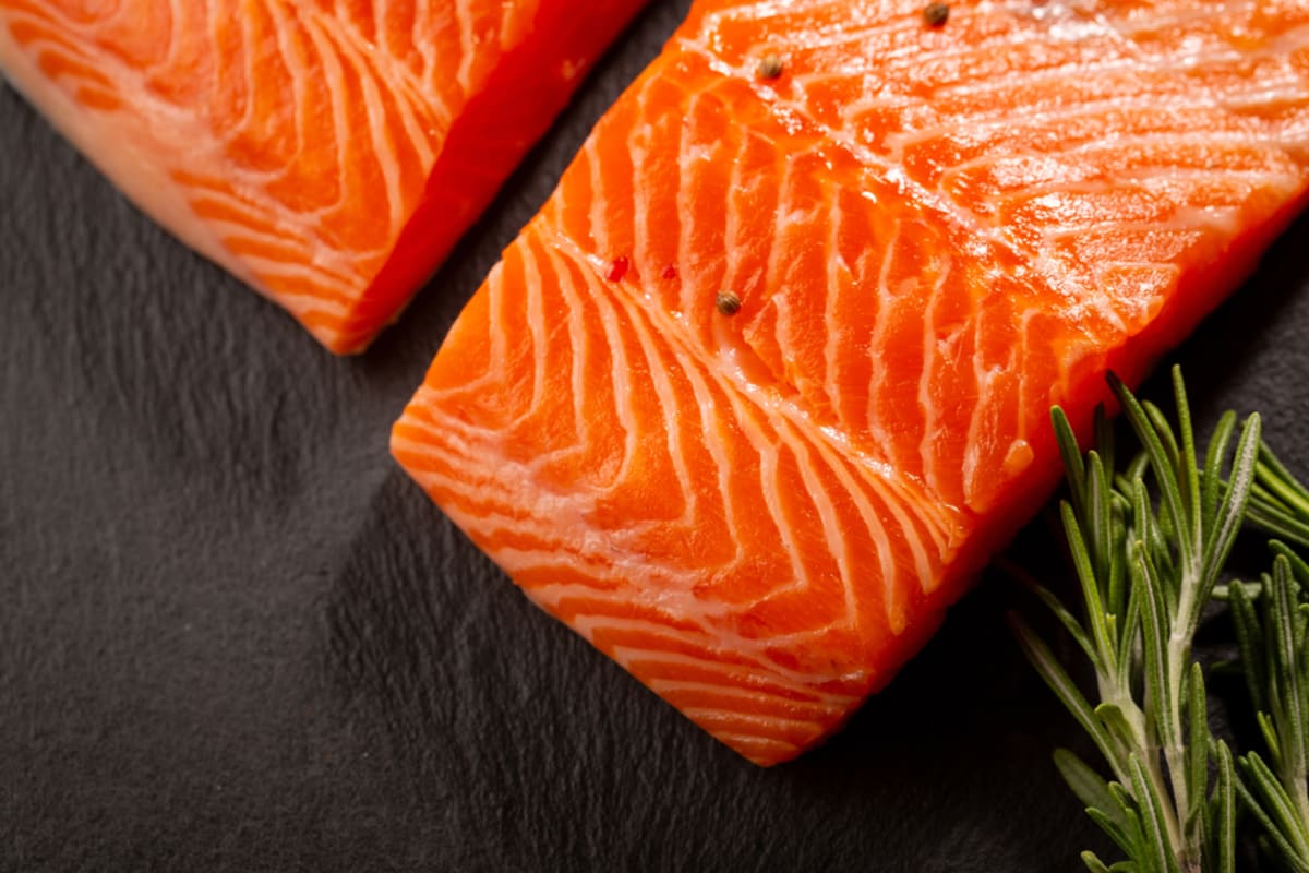 Northern Cod Returns After 30-Year Comeback Journey - Image 5