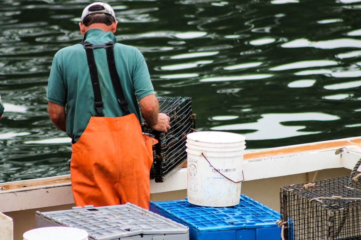 NOAA Awards $99M to Save Pacific Salmon - Image 2