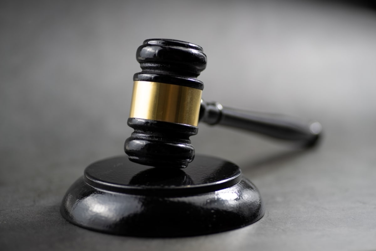 Russian Saury Fish Stocks Set to Recover in 4-5 Years - Image 4