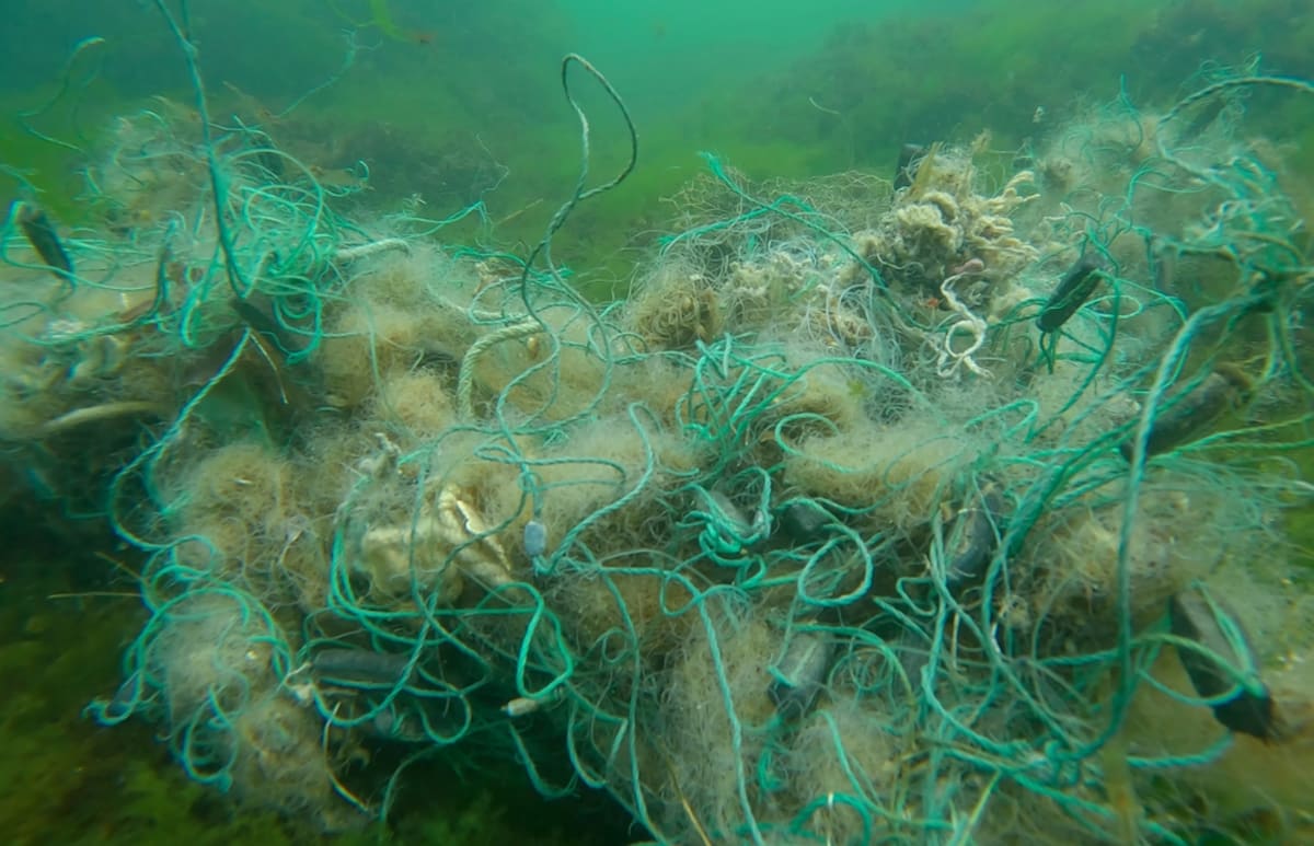 ** Fishing nets being retrieved from ocean water during Norway's annual ghost gear cleanup operation