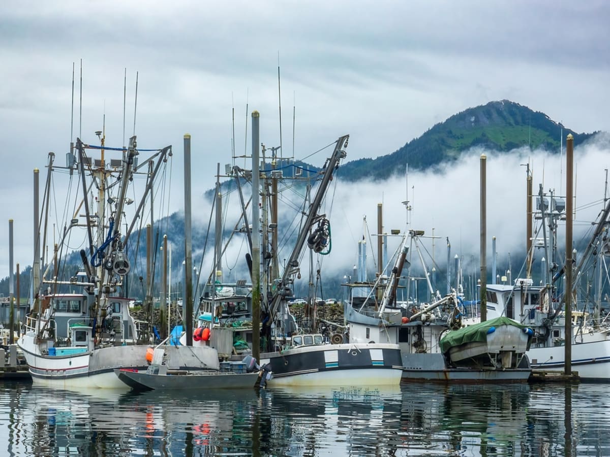 NOAA Awards $99M to Save Pacific Salmon - Image 4