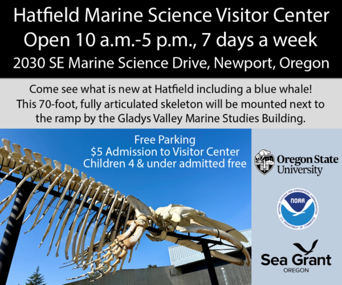 10 Volunteers Help Track Fish in Oregon Marine Reserves - Image 4