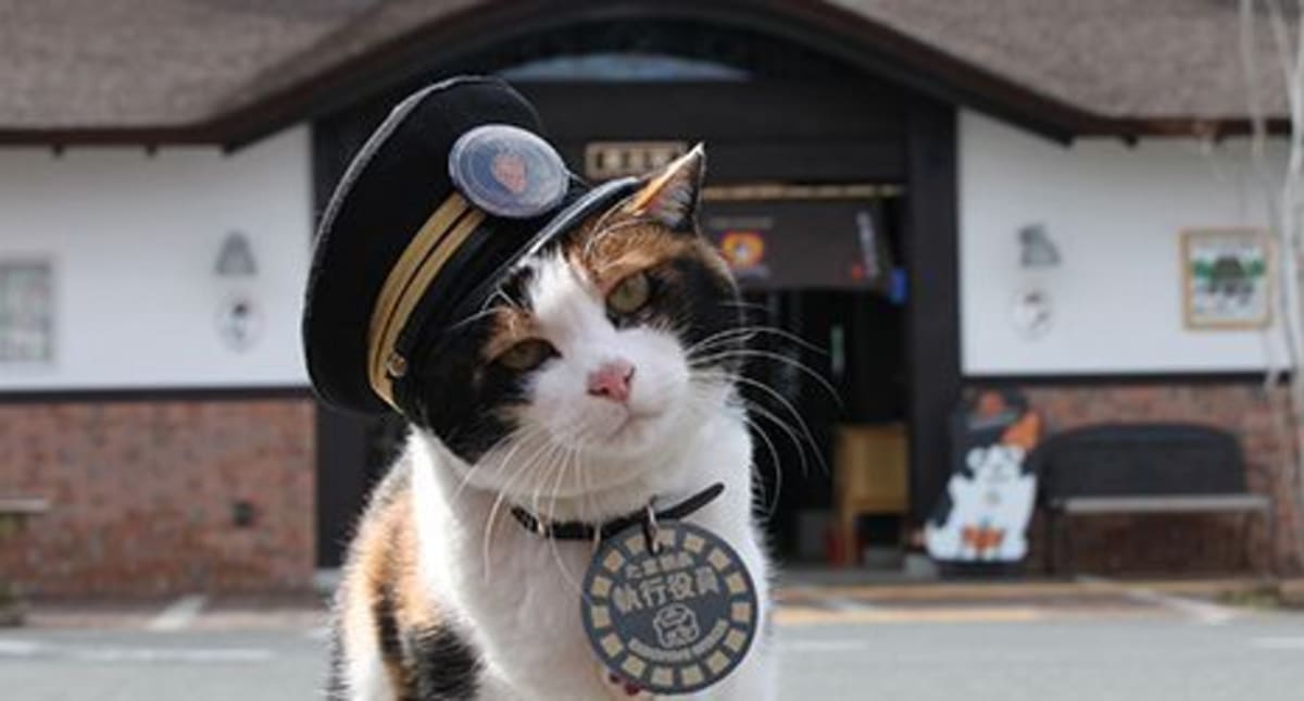 Calico cat Tama wearing custom stationmaster hat at Japanese railway ticket gate