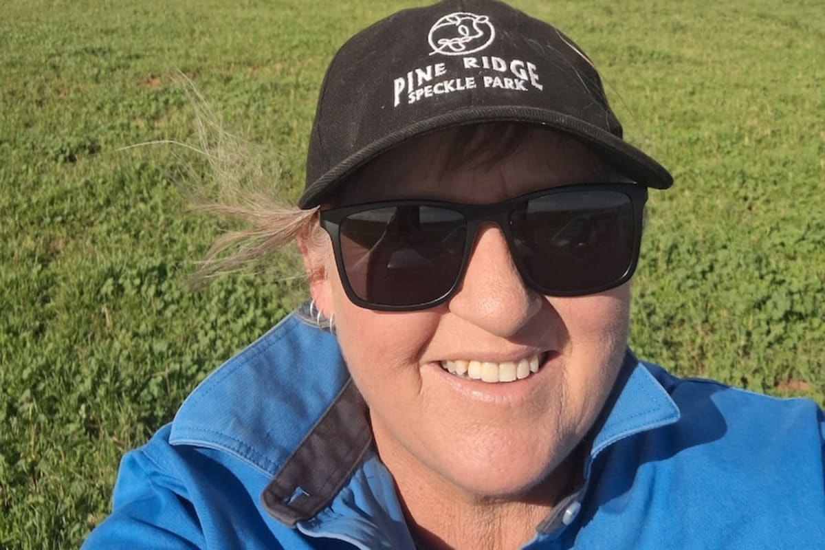 Record Rain Transforms South Australian Farms in Weeks - Image 3