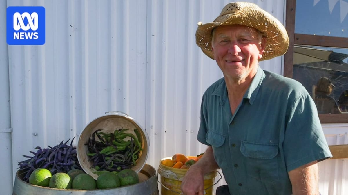 Fresh vegetables and homegrown produce laid out on table at Australian community crop swap event