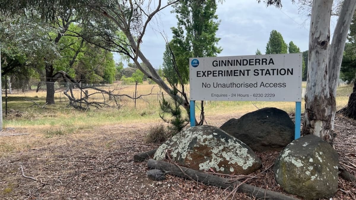 Canberra Secures Land for 3,000 New Homes - Image 3
