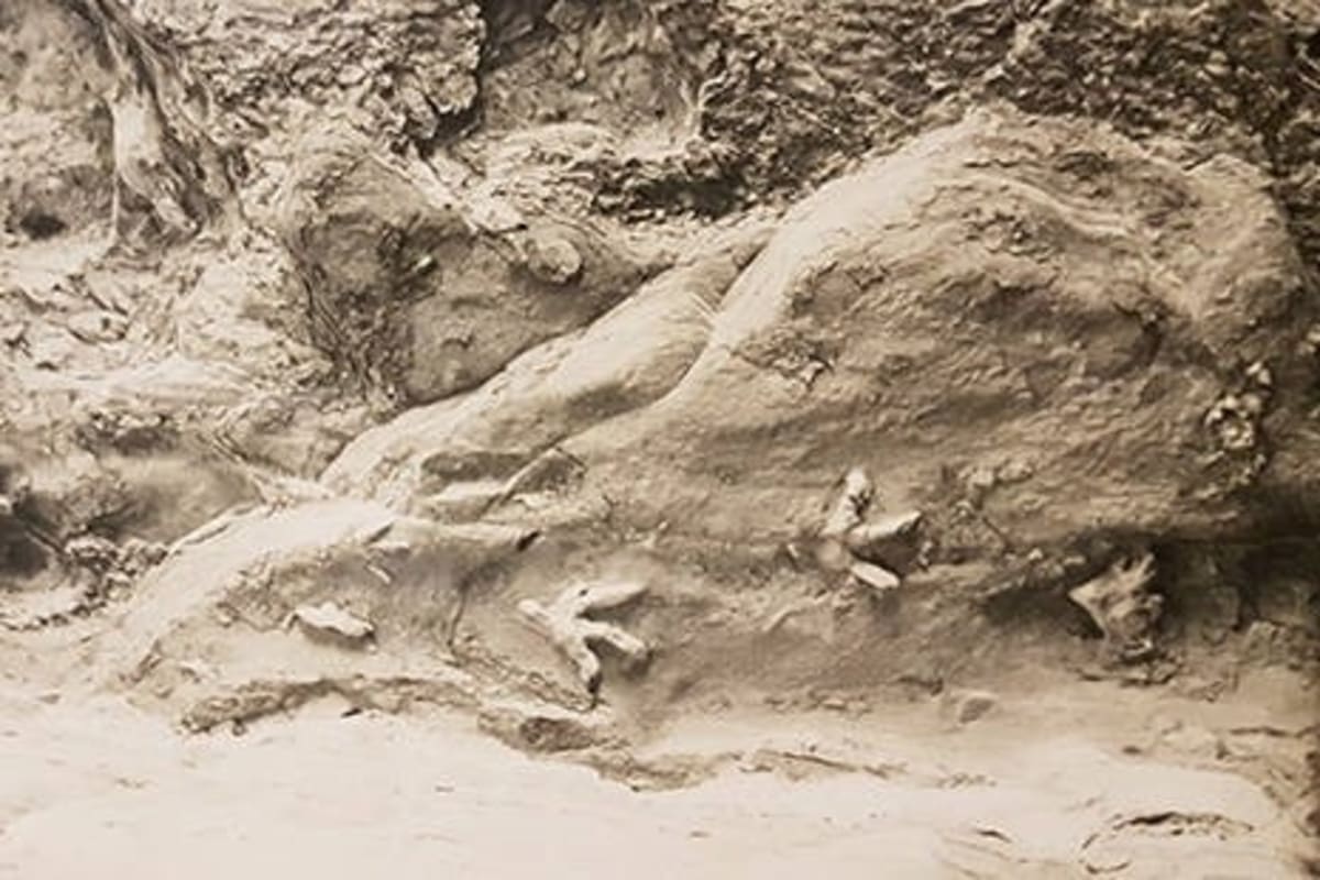 Australian Town Fights to Reopen 195M-Year-Old Dinosaur Cave - Image 4