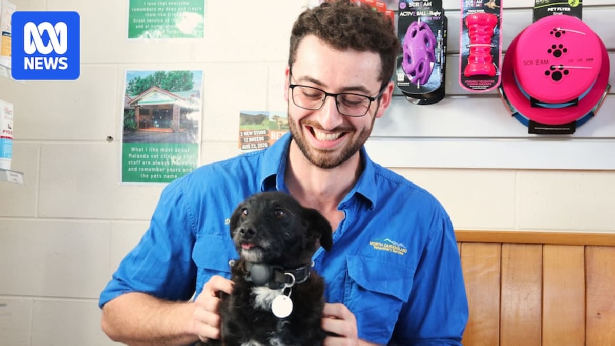 Australia Tackles Rural Vet Shortage With Student Support