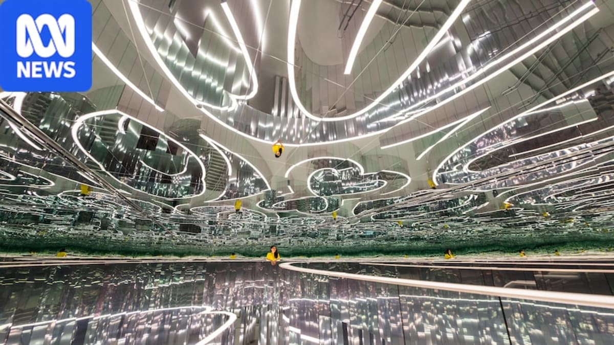 Illuminated mirror labyrinth installation called Forest of Us at Powerhouse Parramatta museum