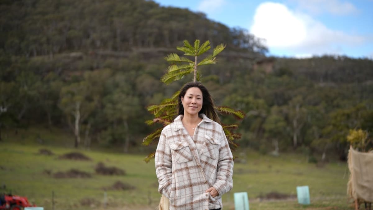 Parents Turn Tragedy Into Forest of 600 Endangered Trees - Image 2